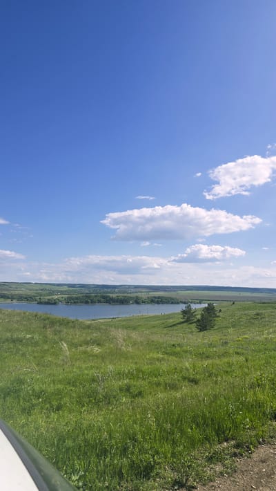 A wide, bright blue sky with scattered white clouds stretches across the top half of the image. Below the sky is a panoramic view of a landscape. In the middle ground, a calm blue body of water, likely a lake or river, is visible. Along the far bank of the water, a line of green trees forms a lush border, with glimpses of small buildings and fields behind them. The foreground and middle ground consist of rolling green hills covered in tall grass and wildflowers. Two evergreen trees stand on a slope on the right side of the frame. The bottom left corner of the image shows a sliver of a white object, possibly part of a vehicle, and a dirt path runs along the bottom right. The scene depicts a serene, rural environment on a sunny day.