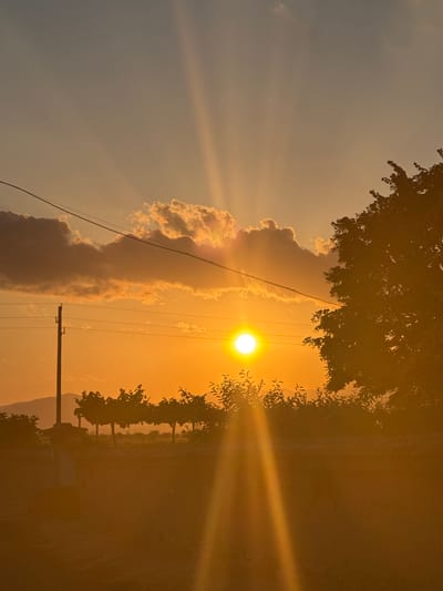 This is a photograph of a sunset over a rural landscape, likely taken in or near Blatets, Bulgaria. The sun is low on the horizon, casting a warm, golden light across the scene. Dramatic sunbeams emanate from the sun, illuminating the sky and creating a hazy glow. In the foreground, there is a silhouette of trees and foliage, with a power line pole visible on the left side of the frame. In the middle ground, a line of trees, possibly part of an orchard or vineyard, stretches across the image. Further in the distance, the silhouette of mountains can be seen against the colorful sky. The overall impression is one of a serene and picturesque evening in the countryside.