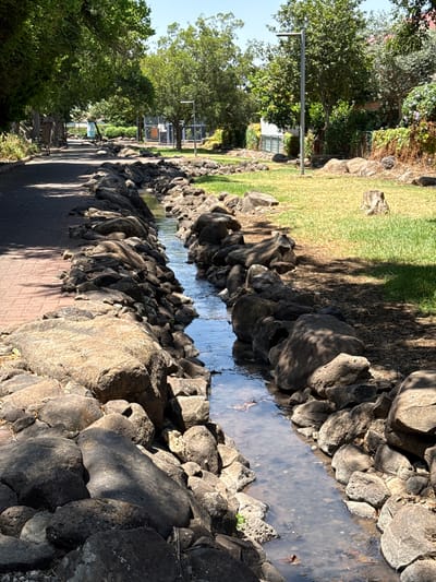This is a photograph of a stream flowing between two rock-lined paths in Katzrin, Israel. The stream is narrow and shallow, with clear water flowing over a rocky bed. The path on the left is paved with red bricks, while the path on the right is made of gravel and lined with grass. Tall trees with green leaves cast shadows over the scene. In the background, there are buildings and a fence. The sky is clear and blue.