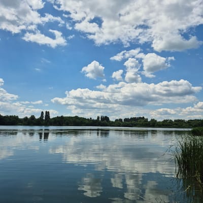 The image depicts a serene natural landscape with a body of water in the foreground, reflecting the sky and the tree line. The sky is a vibrant blue, dotted with fluffy white cumulus clouds. The water is calm, with gentle ripples creating a mirrored image of the clouds and the lush green trees that form a dense line along the distant bank. Two tall, slender trees stand out against the backdrop of the forest, their reflections also visible in the water. On the right side of the image, tall green reeds grow along the edge of the water. The scene appears to be set in a rural or natural environment, possibly a park or a nature reserve, and is located in Chmyrivka, Ukraine. There are no people or animals visible in the frame, and no specific actions or interactions are taking place. The overall atmosphere is peaceful and tranquil, characteristic of a summer day.