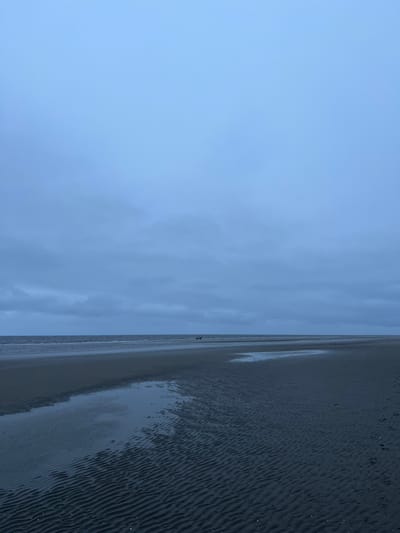 An overcast sky with horizontal clouds hangs over a vast, flat beach with dark sand rippled by the receding tide. A calm body of water stretches across the horizon, reflecting the muted sky. A small, dark object, possibly a boat or debris, is visible in the distance on the water. The foreground features wet sand with prominent ripple patterns. The overall scene is desolate and muted in color. The location is Yandova Guba, Russia.
