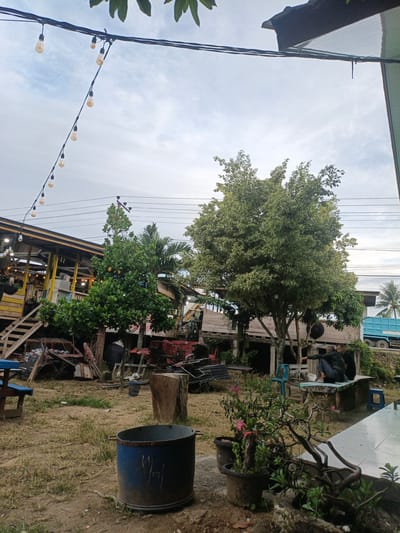 The image depicts an outdoor scene in Pasar Paloh, Indonesia. In the foreground, a large blue metal bin with the markings "114" is placed on dry, grassy ground. To the left, a blue wooden bench is visible. In the middle ground, a large tree with dense green foliage dominates the frame. Behind the tree, to the left, a rustic wooden structure with a yellow-trimmed roof and a wooden staircase is partially obscured. Various discarded items, including rusted metal frames and what appears to be an old engine, are scattered in front of this structure. To the right of the tree, a light blue truck is parked on a slightly elevated dirt road. Two individuals are seated on a stone bench in the middle ground, facing away from the camera. One person is wearing a camouflage jacket and jeans, while the other is wearing a dark shirt. A light blue plastic chair is placed near the bench. Above, a string of decorative lights hangs across the frame, with the sky and power lines visible in the background. The overall atmosphere suggests a casual, somewhat unkempt outdoor gathering or seating area.