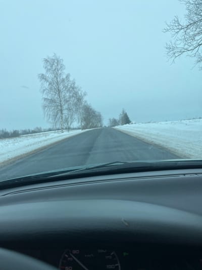 The scene depicts a winter road landscape in Карабоўскі сельскі Савет, Belarus, viewed from the interior of a vehicle through its windshield. The sky is uniformly overcast and light gray. A dark, two-lane asphalt road, appearing wet or damp, extends straight and then curves slightly to the right, disappearing into the distance with a gentle incline. Both sides of the road are covered in snow. On the left, a line of bare deciduous trees, possibly birch, stands along the roadside, their branches dusted with snow or frost. Beyond them lies a snow-covered field. On the right, a snow-covered field extends, with discolored snow along the immediate road edge. A few conifer trees are visible further along the right side, also lightly covered in snow. A bare tree branch from a closer tree partially obstructs the upper right corner of the view. The vehicle's dark gray dashboard and the base of the windshield are visible in the foreground, with a partial view of the instrument cluster showing speedometer markings and a lit green indicator. No people are visible.