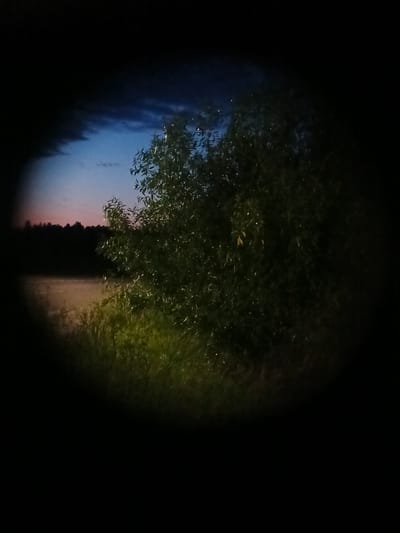The media file depicts a dark, natural scene with a hint of twilight. The main subjects are a dense, leafy tree dominating the right side of the frame and a dark, silhouetted treeline in the background. In the foreground, there is a patch of grassy vegetation. A blurred, light-colored area suggests a body of water or a path in the middle ground. The sky transitions from a deep dark blue with hints of clouds at the top to a lighter, pinkish hue near the horizon.
The overall mood is somber and quiet, likely captured at dusk or dawn. The lighting is dim, with the dark edges of the frame creating a vignetting effect, as if viewed through a scope or tunnel. There are small, bright specks scattered across the foliage, possibly dew drops, fireflies, or reflections of light.
The scene appears to be set in a rural or natural environment, possibly near Воскресенское, Russia. The dark, unlit surroundings and the absence of any human presence or activity contribute to a sense of solitude and the wild. There is no visible text in the image.