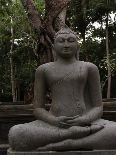 The image shows a stone statue of the Buddha seated in a meditative posture, facing the viewer. The statue is light gray and appears to be weathered. The Buddha's eyes are closed, and his hands are resting in his lap, with his left hand on top of his right. The statue is positioned in front of a large, gnarled tree trunk, with lush green foliage visible in the background. The overall impression is one of tranquility and serenity. This statue is located at the Koggala Lake Garden in Koggala, Sri Lanka.