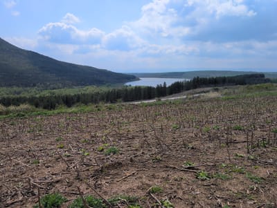 The image shows a landscape in Buhovtsi, Bulgaria. In the foreground is a field of dry brown soil with cut stalks and sparse green vegetation. Beyond the field is a tree line and a road. A body of water, possibly a lake or reservoir, stretches across the middle ground. In the background, rolling hills and distant land are visible under a blue sky with white clouds. A forested mountain occupies the left side of the frame.