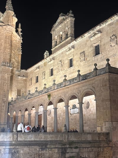 The image displays the illuminated facade of the Colegio Mayor de San Bartolomé (Anaya Palace) at night, located in the Plaza de Anaya, Salamanca, Spain. To the far left, a section of the New Cathedral of Salamanca is visible, characterized by its towering, ornate stone architecture.

The Anaya Palace facade is constructed from light-colored stone and features a prominent ground-level arcaded loggia. This loggia comprises multiple round arches supported by cylindrical stone columns with defined capitals. Above the arches, a stone balustrade with spherical finials is present. The upper facade contains rectangular windows, some of which appear barred, interspersed with decorative relief carvings. A bell tower with arched openings and a pediment-like top is visible on the right side of the Anaya Palace structure. Minor green vegetation or moss adheres to sections of the stone, particularly near the balustrade.

On the elevated platform of the loggia, a group of approximately five individuals is visible. Some are seated or leaning against the balustrade. One person is wearing a white jacket, and another has a red backpack. Further to the right, a smaller group of three individuals is partially observable, positioned behind the balustrade. The entire scene is illuminated by artificial lighting, accentuating the stone details against a dark night sky. A lower stone wall forms the base of the foreground.