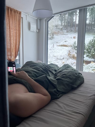 A person lies in bed, partially covered by a green duvet. The person is using a mobile phone. The room appears to be near a window with a view of a snow-covered landscape of trees and grass. A white lamp hangs from the ceiling near the window and a brown curtain is partially drawn. The bed has light gray sheets.
