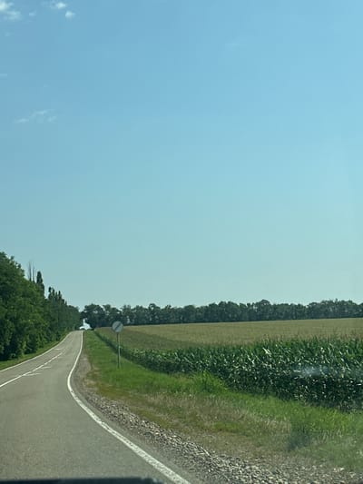 The image shows a winding asphalt road in Chaplygin, Russia, leading through a rural landscape. The road is bordered on the left by a dense line of green trees and on the right by a field of corn. The sky is clear and blue. A circular traffic sign with a diagonal red line is visible on the right side of the road, indicating no entry. The scene appears to be a still, natural environment during the daytime.