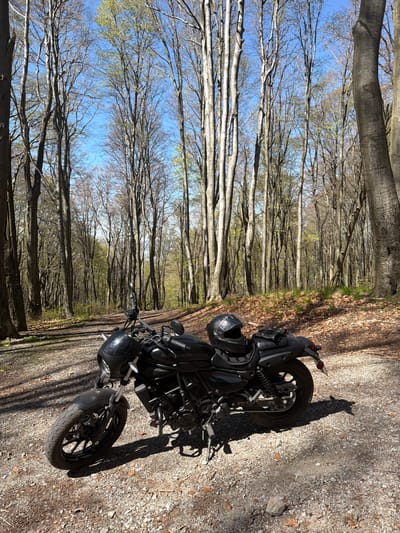 A black motorcycle is parked on a dirt and gravel road. The motorcycle has a helmet attached to the rear. The road is lined with tall, thin trees with bare branches, indicating it is either late fall or early spring. The sky is visible through the branches. Based on the location provided, the scene is a road through a wooded area near Ichera, Bulgaria.