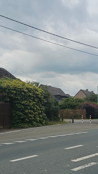 The image captures a street scene in Silenrieux, Belgium, under a cloudy sky. In the foreground, an asphalt road is visible with white road markings, including dashed lines and solid white lines that appear to form a pedestrian crossing. The road curves slightly to the right.

To the left of the road, a large, dense green hedge or ivy-covered wall dominates the frame, partially obscuring a dark brown wooden gate or door. Behind the hedge, the roof of a building, possibly a house, is visible, with a dark, textured material, likely tiles or shingles.

Further into the background, several houses with dark, pitched roofs are nestled among lush greenery and trees. One house has a brick facade, while another appears to have a darker, possibly slate, roof. A wooden fence separates the properties from the roadside. Several red and white striped bollards are positioned along the edge of the road and the property line. The overall impression is of a quiet, residential area with mature landscaping.