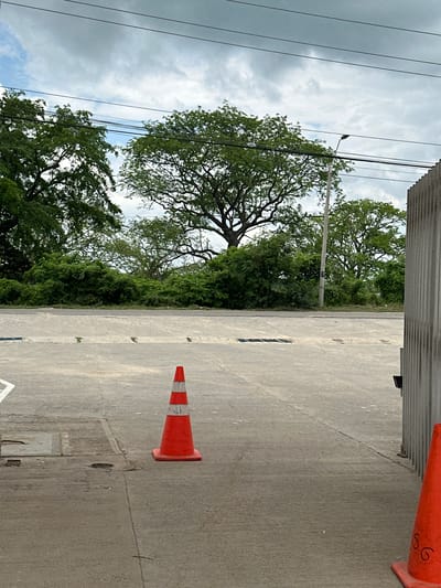 The image depicts an outdoor scene, likely a street or open area, with a focus on concrete pavement and lush greenery. In the foreground, a bright orange traffic cone with white reflective bands stands prominently on the grey concrete. The concrete surface shows various textures, including smooth areas, lines, and some minor imperfections like small holes and grates. To the right, a portion of a corrugated metal structure is visible, suggesting the edge of a building or enclosure.
Behind the concrete area, a dense line of green bushes and trees forms a natural barrier. Dominating the background is a large, mature tree with a sprawling canopy of leaves, its branches spread wide against a cloudy sky. The sky itself is overcast with shades of grey and white clouds, with thin power lines stretching across the upper portion of the frame. A lamppost is visible among the trees to the left of the large tree. The overall impression is one of a somewhat urban or semi-urban environment integrated with natural elements. The location is identified as Juan Mina, Colombia.