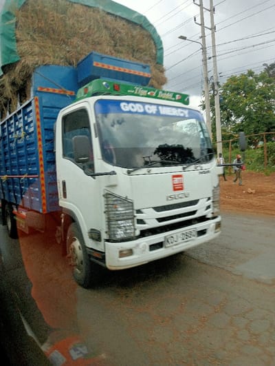 A white Isuzu truck, bearing Kenyan registration KDJ 288C, is depicted on an asphalt road in Karatina, Kenya. The truck's cab features "GOD OF MERCY" in blue lettering above the windshield and a green panel displaying "Tigania & Dad" alongside a Kenyan flag graphic. A blue cargo bed, partially obscured by an exceptionally large, untarped load of hay or straw, is visible behind the cab. The hay is topped with a green tarp. A blue toolbox is mounted on the front of the cargo bed, directly behind the cab.
The road surface shows wear and reddish-brown dirt, consistent with a roadside environment. A concrete utility pole supporting multiple power lines and a street light stands to the right of the truck. Beyond the pole, green trees and bushes are visible behind a fence, with a reddish-brown dirt embankment in the foreground. Several individuals are present in the middle ground on the right, with one person distinctively wearing red. The sky is overcast, and a prominent reflection, possibly from a vehicle window showing an orange object, occupies the lower left portion of the image.