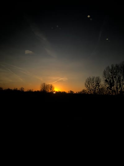 A sunset is visible over a silhouetted treeline. The sky is a mix of orange, yellow, and grey, streaked with contrails. The right side of the image is entirely dark, contrasting sharply with the sky. Some light flares or orbs are present in the dark region. The image is rotated 90 degrees counterclockwise.