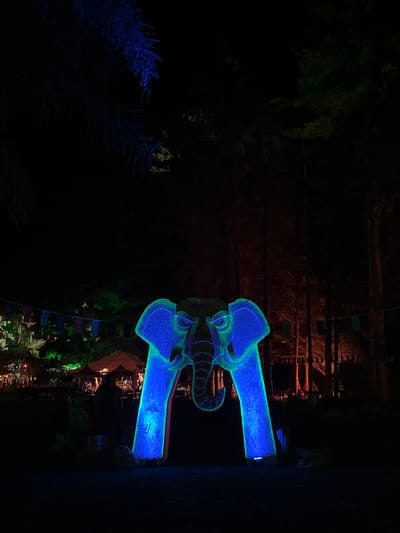 The image depicts a nighttime outdoor scene in Sremski Karlovci Municipality, Serbia, dominated by a large, illuminated elephant-shaped archway serving as a focal point. The archway, positioned centrally, emits a bright blue light with green accents outlining its features, including prominent ears, eyes, and a downward-curving trunk. Intricate patterns or glyphs are visible on the blue surfaces of the archway's support structures. An inscription resembling "DOVVELY" is visible on the elephant's forehead.
In the mid-ground to the left of the archway, an area appears to be a gathering or festival space. Several tents or stalls, illuminated with warm yellow light, are present. Multiple indistinct human figures are visible around these structures, with one figure in green attire partially discernible near the left base of the elephant archway. A string of colorful rectangular banners (blue, purple, green, red) is suspended horizontally above this area. Trees in the background to the left are illuminated with a pale green light, with some foliage in the upper left corner showing a blue hue.
To the right of the archway, a dense stand of trees forms a dark background, with some trunks and foliage partially illuminated by a reddish-orange light. A faint line of banners similar to those on the left is also present on this side. The immediate foreground consists of dark ground, with minimal detail, showing some subtle textural variations or small, dark objects near the base of the elephant structure. The overall lighting scheme suggests an artificial, decorative illumination in a natural, dark environment.