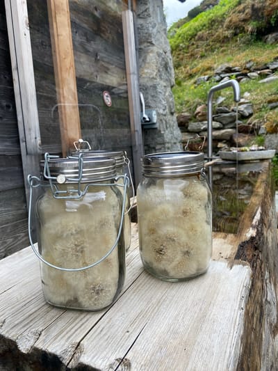 This image, captured in Innertkirchen, Switzerland, features two glass jars filled with dandelion (Taraxacum officinale) seed heads, positioned on a weathered wooden surface. The prominent jar on the left is a clear glass bail-top jar with a metal handle and lid, packed with numerous white, spherical dandelion seed heads. A second, partially obscured jar to its right also contains similar seed heads.

The jars rest on a substantial, light-colored wooden plank or beam, exhibiting visible grain, cracks, and evidence of moisture on its surface. In the background to the left, a dark wooden wall, composed of vertical planks, is visible. A reflection on a transparent surface in front of this wall displays a circular red and white "no entry" sign. To the right of the jars, a rustic stone wall constructed from irregularly shaped grey rocks forms part of the background. A curved, polished metal tap is affixed to or near this stone structure, with a visible stream of water flowing downwards into a dark, partially obscured trough, likely made of wood, consistent with an outdoor water source or fountain. A small, rectangular container with green succulents is positioned near the water flow. Beyond these foreground elements, a steep hillside covered in green grass, moss, and scattered rocks rises into the upper background. The lighting suggests an overcast or diffused sky.