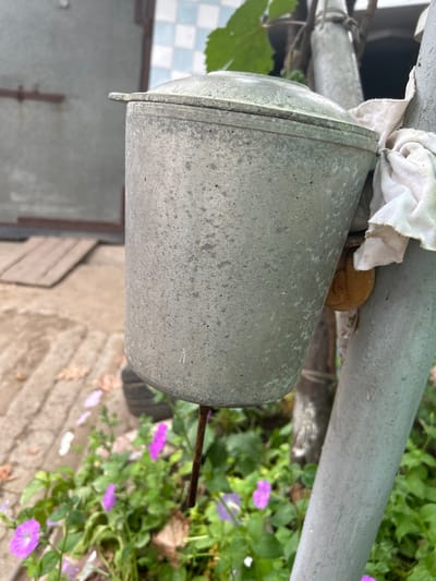 This close-up, eye-level shot captures a metal watering can hanging from a metal pipe. The watering can is the primary subject, made of weathered metal with a textured surface, showing signs of age and use. It is positioned horizontally, with its open end facing to the right, and its closed, conical end to the left. A piece of white fabric is draped over the pipe and partially covers the watering can, suggesting it might be used for insulation or to hold it in place.
Behind the watering can and pipe, a lush green plant with small purple flowers thrives. The background also shows glimpses of a tiled surface and a weathered wooden structure, hinting at an outdoor setting, possibly a garden or a backyard. The lighting suggests it is daytime, with the overall scene appearing overcast or shaded, contributing to a muted color palette. The location context provided is Copceac, Moldova, which aligns with the rustic, outdoor imagery.
No people are visible in the image, and no text is present. The focus is entirely on the objects and the natural elements surrounding them. The overall mood is one of stillness and everyday utility, with the watering can poised for use in a garden setting.
