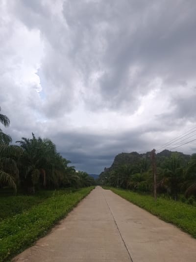 The image depicts a concrete road stretching into the distance under a cloudy sky. The location is Pak Phraek, Thailand. The road is bordered on both sides by lush green vegetation with palm trees and grasses. In the distance, a mountainous formation can be seen. Overhead wires extend across the sky to the right. There are no people or animals visible in the scene.