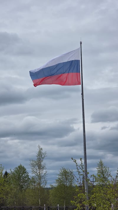 An outdoor scene in Lensk, Russia, is captured under an overcast sky. The central subject is a Russian national flag, displaying its distinctive tricolor of white, blue, and red horizontal stripes. The flag is attached to a tall, slender, light-colored metal flagpole and appears gently unfurled, suggesting a light breeze.

The sky occupies the majority of the background, filled with various shades of grey and white clouds, indicating an overcast daytime with diffused natural light. There is no visible direct sunlight.

In the lower portion of the image, a line of trees with fresh, vibrant green foliage is visible. The leaves suggest it is either spring or early summer. Some of these trees appear to be deciduous, possibly birches, given their slender forms and leaf patterns. A dark fence or railing can be faintly seen running along the base of the trees in the distance.

No people or specific activities are depicted, giving the scene a calm and stationary ambiance. There is no visible text on the flag or in the surrounding environment. The image primarily focuses on the national emblem against a natural backdrop.