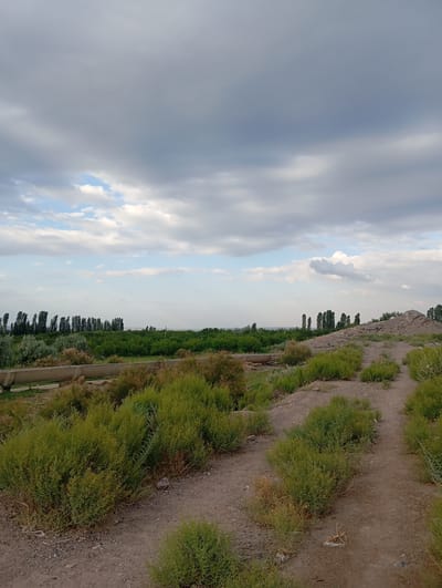 A wide-angle, slightly low-angle shot captures a rural landscape under a cloudy sky. In the foreground, a dirt path winds through a sparsely vegetated area with low-lying green shrubs. To the left, a large, light-colored concrete pipe runs horizontally across the frame, partially obscured by more dense green vegetation. Beyond the pipe, a line of trees, possibly poplars, stands tall and thin. Further back, a lush green field stretches across the mid-ground, dotted with more trees. The background reveals a hilly terrain with a rocky outcrop on the right, and the faint outline of a distant horizon. The sky is filled with a mix of dark, heavy clouds and patches of lighter, broken clouds, with hints of blue sky visible. The overall impression is one of a natural, somewhat uncultivated environment. This scene is located in the city of Kızıl-Bel, Kyrgyzstan.