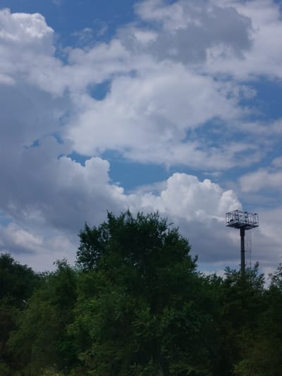 The image depicts an outdoor scene dominated by a blue sky filled with white and grey clouds. In the lower right portion of the image, a tall, slender pole-like structure rises above a dense line of green trees. This structure is topped with a dark, open, rectangular frame, possibly a platform or housing for equipment, and features a ladder running up its side. The trees in the foreground are lush and green, forming a thick canopy that obscures the ground. The overall impression is of a partly cloudy day in an area with significant vegetation. The location is Salsk, Russia.