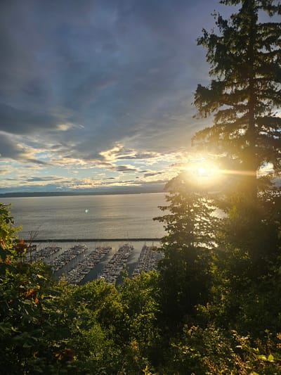 The image captures a panoramic view of a marina in Seattle, Washington, during a sunset. The foreground is dominated by lush green foliage, with a large evergreen tree silhouetted against the sky on the right side of the frame. Sunlight streams through the branches of this tree, creating a lens flare effect and casting a warm glow across the scene.
Below the foliage, a vast body of water stretches out, reflecting the dramatic clouds and the fading sunlight. A marina filled with numerous sailboats and yachts is visible on the water, docked in neat rows. The boats are mostly white with their masts creating a sharp, uniform pattern against the darker water.
In the distance, a hazy mountain range is visible on the horizon, partially obscured by the atmospheric conditions. The sky above is a mixture of dark, brooding storm clouds and patches of luminous, sunset-lit clouds. The overall impression is one of natural beauty and tranquility, with the man-made elements of the marina blending harmoniously with the landscape. The specific location within Seattle is likely a viewpoint overlooking Elliott Bay or a similar coastal area. There are no people or discernible actions depicted in the image.