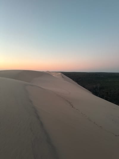 The image depicts the Dune of Pilat in La Teste-de-Buch, France, at sunset. The sky transitions from a pale blue at the top to soft hues of pink and orange near the horizon. A vast expanse of sand dunes dominates the foreground and midground, with gentle slopes and subtle shadows. Footprints are visible tracing paths across the sand. In the background, a dense, dark green forest stretches across the landscape, contrasting with the lighter tones of the dunes and sky. The overall scene is serene and natural, capturing the expansive beauty of the coastal dune environment.
