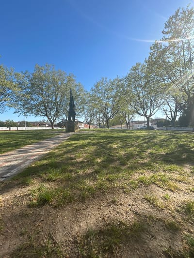 The image shows a sunny day in Santa Maria da Feira, Portugal, featuring a landscaped park or boulevard. A paved walkway stretches into the distance, lined on one side by a row of mature deciduous trees with budding green leaves. The trees cast dappled shadows across the walkway and adjacent grassy area. On the left side of the walkway, a dark-colored monument or statue stands among the trees. In the background, buildings and residential structures are visible. The sky is a clear, bright blue. The perspective is slightly skewed, as if the photograph was taken from a low angle.