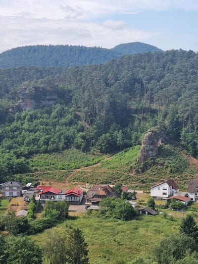 This is a vertical, eye-level, daytime, wide shot of a wooded hillside with a small settlement of houses nestled into the slope, located near Dahn, Germany. The scene is bathed in sunlight, suggesting clear weather.
The left side of the frame is dominated by densely forested mountains, with the trees forming a thick canopy of various shades of green. The slopes are steep, and in the mid-ground, a rocky outcrop juts out from the trees. The right side of the image shows a terraced hillside covered in lush green grass, interspersed with more trees.
Several houses are visible along a winding road that snakes up the hillside. These are modern structures with red or white roofs and a mix of white and grey facades. Some of the houses have balconies and large windows. A few vehicles are parked on the road and driveways. A smaller wooden shed or outbuilding is also present. The overall impression is one of a serene rural or semi-rural setting. The time of day appears to be midday, given the bright lighting and the shadows cast by the trees and buildings. There is no visible text in the image.
