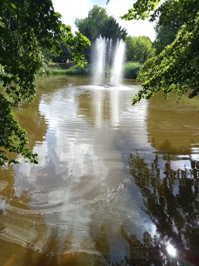 The image shows a tranquil pond with a fountain in the center, spraying water upwards. The water is a murky brown color and reflects the surrounding trees and sky. The sky is clear and bright, suggesting it is a sunny day. Lush green foliage hangs over the edges of the pond, framing the scene. In the background, there are more trees and some reeds growing by the water's edge. The reflection on the water shows a swirl of white foam or debris, creating an interesting pattern. The overall mood of the image is peaceful and natural. There is no visible text in the image. The location is Illingen, Germany.
