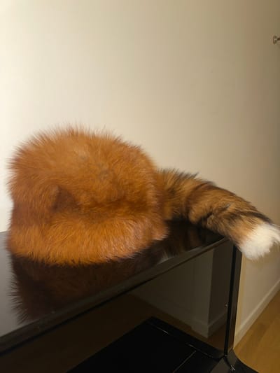 An indoor scene in Vandœuvres, Switzerland, displays a reddish-brown fur object, consistent with real fox fur, resting on a highly reflective, glossy black surface, likely a grand piano or lacquered furniture. The fur object, possibly a hat or accessory, features a dense, tawny body and an elongated tail exhibiting darker bands of brown and black, culminating in a distinct white tip. A clear, inverted reflection of the fur is visible on the polished black surface. The background comprises a plain, light-colored wall. Below the reflective surface, a dark area, possibly a floor, is partially visible along with a light-colored baseboard or door frame reflected in the glossy material. No individuals are present, and no active interactions are occurring within the static environment.