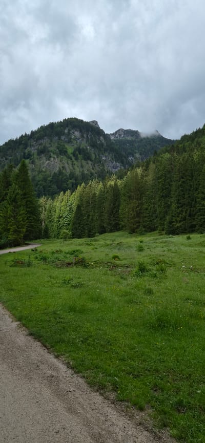 The image depicts a lush, green meadow in Fischbachau, Germany, bordered by a dense forest of evergreen trees on the right and a winding dirt path on the left. In the background, a majestic mountain range rises, its peaks partially shrouded in clouds, hinting at a cool, overcast day. The terrain slopes gently upwards from the meadow towards the forested foothills of the mountains. There are no people or animals visible in the scene. The overall impression is one of serene natural beauty, undisturbed and tranquil.