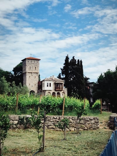 The image depicts a scene in Staro Slano, Bosnia and Herzegovina. A stone tower with a cross on top stands adjacent to a white building with arched windows and a wooden balcony. In front of the buildings, there is a vineyard with rows of green grapevines supported by wooden stakes. A low stone wall separates the vineyard from a grassy area in the foreground. The sky is blue with scattered white clouds. Trees surround the buildings. A blue metal fence is visible on the right side of the frame.