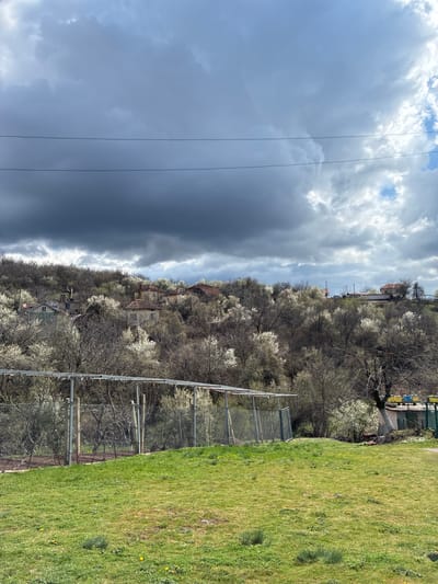 The image depicts a rural landscape in Bokilovtsi, Bulgaria, under a sky dominated by heavy storm clouds on the left, contrasting with brighter, cloudier skies on the right. A hill is covered in trees, many in bloom with white flowers. Several houses with red tile roofs are visible among the trees. In the foreground, a chain-link fence runs along the edge of a grassy field. Power lines stretch across the left side of the sky. There are no people visible in the image.