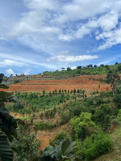The image shows a terraced hillside in Định An, Vietnam, under a partly cloudy sky. The terraces are characterized by vibrant orange soil and are interspersed with green vegetation, including small trees and bushes. In the upper section of the hillside, there are structures that appear to be buildings or houses, some with roofs. The foreground is partially obscured by large, dark green leaves. The scene depicts a rural or agricultural landscape with human modifications for cultivation or construction.