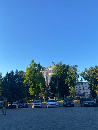 This image depicts a street scene in Nyzhni Mlyny, Ukraine, on a clear, sunny day. The perspective is from ground level, looking upwards and towards the right. In the foreground, a paved walkway made of grey interlocking bricks runs diagonally from the bottom right corner. Beyond the walkway, a row of parked cars lines the street. Among the visible vehicles are a white Volkswagen, a dark colored Skoda, and a dark colored Renault. Further down the street, more cars are visible, along with the fronts of apartment buildings.

Lush green trees with full foliage are abundant in the scene, casting dappled shadows. The trees are interspersed between the cars and the buildings, creating a visually appealing contrast between nature and urban infrastructure. The apartment buildings appear to be multi-story structures with numerous windows and some visible air conditioning units. A street lamp is visible on a pole between the trees and the buildings. The sky is a clear, bright blue, indicating fair weather and likely daytime, possibly late afternoon given the angle of the light.

In the bottom right corner of the image, a person wearing a green t-shirt and light-colored shorts is standing, facing away from the camera. This individual appears to be looking at the parked cars. The overall mood is serene and everyday, capturing a typical moment in this Ukrainian town. There is some visible text on the license plates of the cars, such as "BI 5745 C" on the Renault and "BI 157071 K" on the Volkswagen.