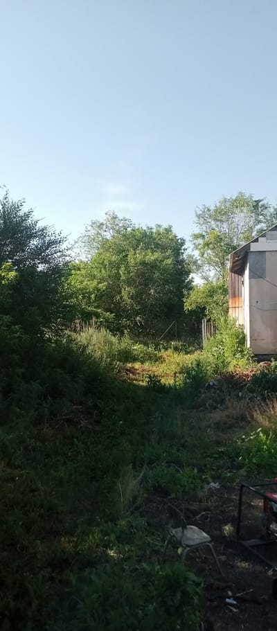 The image depicts an outdoor scene with lush green vegetation and a bright blue sky. In the foreground, there is an area with overgrown grass and a discarded chair. To the right, a part of a building with a corrugated metal roof and siding is visible. Behind the vegetation, a chain-link fence can be seen. The scene appears to be located in an unkempt, possibly rural or semi-urban area.