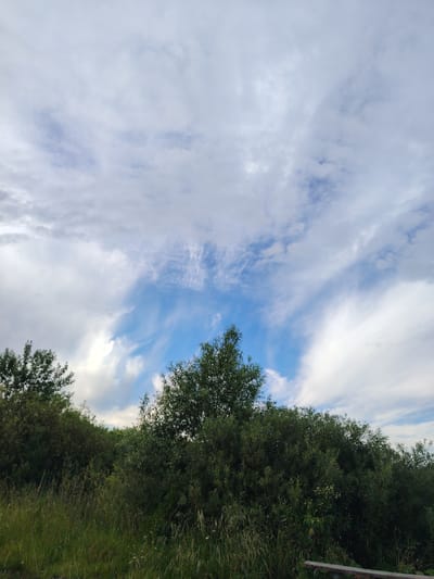 This is a medium-shot, eye-level, outdoor, vertical photograph taken in Заямнаўскі сельскі Савет, Belarus. The scene depicts a natural landscape with a dominant sky and foreground vegetation. The sky occupies roughly two-thirds of the frame and is characterized by a mix of white, wispy clouds and patches of blue sky. The clouds are varied in texture, with some appearing soft and diffused, while others are more defined and streaky, suggesting movement.
The foreground is filled with lush green vegetation, primarily dense bushes and trees that form a thick canopy. Tall grasses and some smaller flowering plants are visible at the very bottom of the frame, suggesting a slightly overgrown or wild area. The foliage is a rich, dark green, indicating a healthy natural environment. The lighting suggests it is daytime, possibly late afternoon or early evening, given the soft quality of the light and the slight hint of overcast conditions mixed with brighter sky areas. The overall mood of the image is serene and natural, evoking a sense of tranquility and the beauty of the outdoors. There are no people or specific objects clearly visible, apart from what appears to be a small section of a wooden bench or structure at the bottom right edge of the frame. The location cues, such as the vegetation type and sky conditions, are consistent with a rural or semi-rural setting in Belarus. No text is visible in the image.