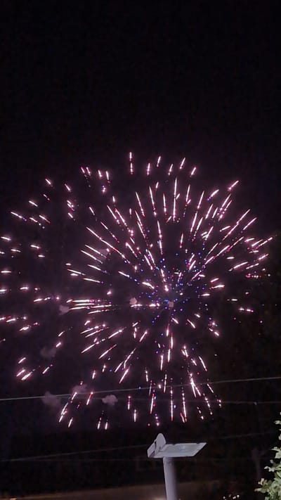 A nighttime photograph captures a vibrant fireworks display against a dark sky. The fireworks are a mix of pinkish-white and purple lights, radiating outwards in a spherical pattern, with some individual bursts and trails visible. In the foreground, a street light pole with a lamp is visible, along with some dark silhouetted foliage on the right side. Power lines are stretched horizontally across the lower portion of the image. The scene appears to be outdoors in a potentially urban or suburban setting. The city of Bingen am Rhein, Germany is mentioned as the location.