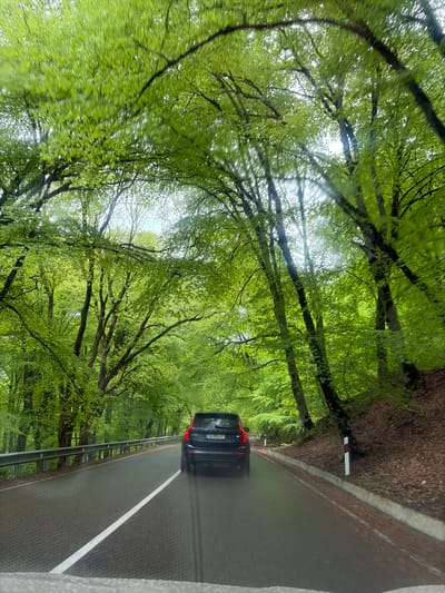 A black car is driving on a wet asphalt road through a forest. The road has a white line marking the lanes. A metal guardrail runs along the side of the road. Tall trees with green leaves line both sides of the road, creating a canopy overhead. A white and red post is located on the right side of the road. The license plate of the car is visible and reads "IV-375II". The photo appears to be taken from inside a vehicle, possibly the car behind the black car. The scene is likely located near Tetri Tsklebi, Georgia.