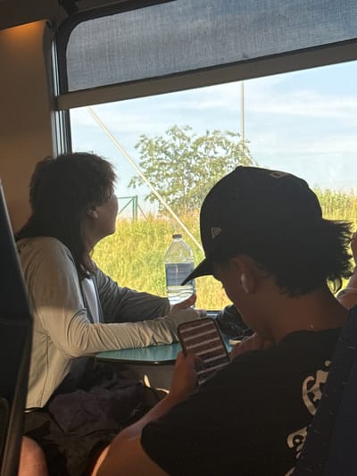 Two individuals are seated inside a moving train. The person in the foreground, wearing a black baseball cap and earbuds, is looking down at their smartphone. The person in the background, facing away from the camera, has a mullet hairstyle and is wearing a gray long-sleeved shirt. They are seated at a table, with a bottle of water placed on it. The train is passing through a rural landscape with fields and trees visible through the window. The lighting suggests it is daytime. The location is identified as Wuustwezel, Belgium.