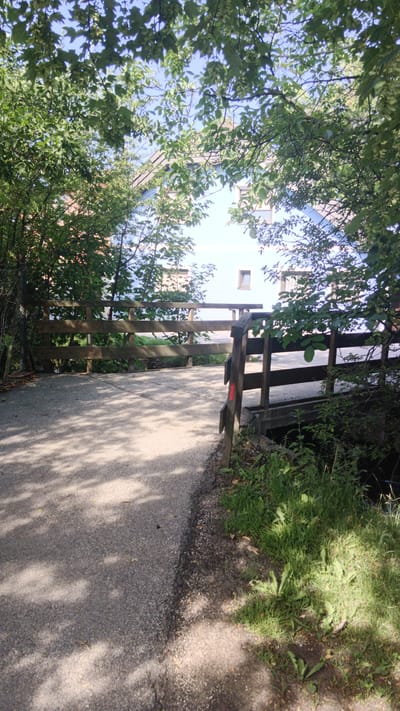 The image depicts a paved path leading to a wooden bridge, with lush green trees and foliage framing the scene. In the background, a light blue building with several windows is visible, partially obscured by the leaves. Sunlight filters through the trees, casting dappled shadows on the path and bridge. The bridge has a wooden railing and appears to span a small body of water or ditch, though the water itself is not clearly visible. The environment suggests a park or natural setting within a residential area. The overall impression is one of a tranquil, outdoor scene.