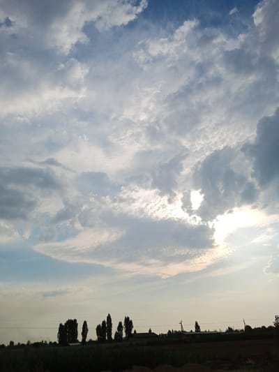 The image depicts a rural landscape under a cloudy sky, likely in or near Bazar-Korgon, Kyrgyzstan. The foreground is dominated by dark foliage, possibly fields or trees, with a silhouetted treeline running horizontally across the mid-ground. This treeline consists of several tall, slender trees interspersed with lower structures, including what appears to be a building with a dark roof and possibly solar panels. Electrical wires are visible stretching between utility poles, suggesting a sparsely populated area with some infrastructure. The sky is filled with a dynamic mix of white and gray clouds, with patches of blue sky visible. Sunlight is breaking through the clouds in the upper right quadrant of the image, creating a bright, diffused glow. The overall impression is one of a serene, somewhat overcast day in a rural setting.