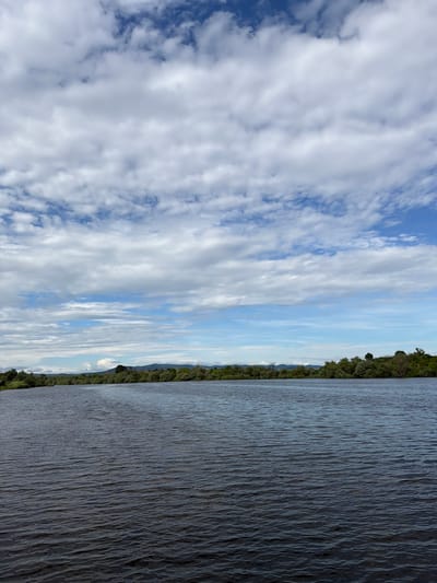 The image shows a body of water, possibly a lake or wide river, bordered by trees on the right side. The left side of the image is dominated by a cloudy blue sky. The image is taken outdoors during the daytime. The location is not specified in the image.