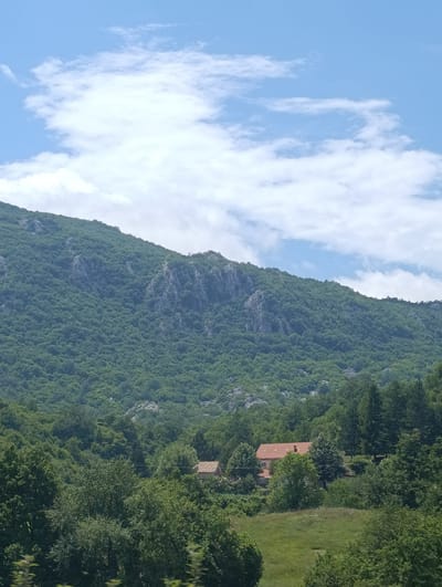 This is a vertical, medium-shot, outdoor photograph taken in Vrela, Montenegro. The scene is dominated by a large, green, tree-covered mountain filling the upper two-thirds of the frame. The mountain has rocky outcrops and patches of lighter green foliage interspersed throughout. Above the mountain, a bright blue sky is visible, with scattered white clouds, some of which are wispy and others more dense. In the lower portion of the image, nestled among the trees at the base of the mountain, are two residential buildings. The building on the right is larger and features a prominent red tile roof and light-colored walls. The building on the left is smaller and partially obscured by trees. The foreground consists of a grassy slope dotted with more trees. The overall impression is one of a tranquil, natural, rural setting. There are no people visible in the image.