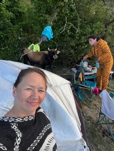 In Mgudzyrkhwa, Abkhazia, a woman in a black and white patterned sweater is taking a selfie in front of a silver tent. Behind her, a brown cow with horns stands near a tree branch from which blue and green clothing items are hanging. To the right, a person wearing an orange and black tiger-striped onesie is standing near a folding table set up with various items, including water bottles, a pot, and food containers. Two folding chairs are positioned near the table, one with clothing draped over it. The ground appears to be a mix of dirt and grass.