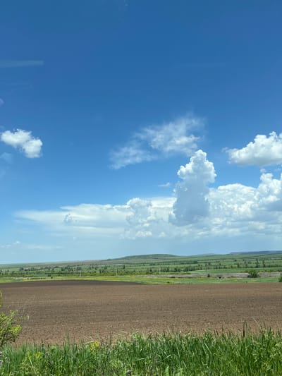 The image shows a landscape in Novoselivka, Ukraine. On the right side of the image is a brown, plowed field bordered by green vegetation. To the left of the field is a line of trees and vegetation stretching into the distance. The sky takes up the left portion of the image, featuring a bright blue background with scattered white clouds.