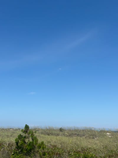 The image depicts a clear blue sky with a small, crescent-shaped moon visible in the upper portion. In the foreground, a dune landscape is covered with tall, dry grass and a small pine tree. The horizon shows hints of buildings or structures in the distance, possibly indicating a coastal area. The overall scene is serene and natural, with the expansive sky dominating the upper half of the frame. This appears to be a daytime shot, given the brightness of the sky and the visibility of the moon. The location is identified as Hilton Head Island, United States of America, which is known for its beaches and coastal environments, consistent with the depicted scene.