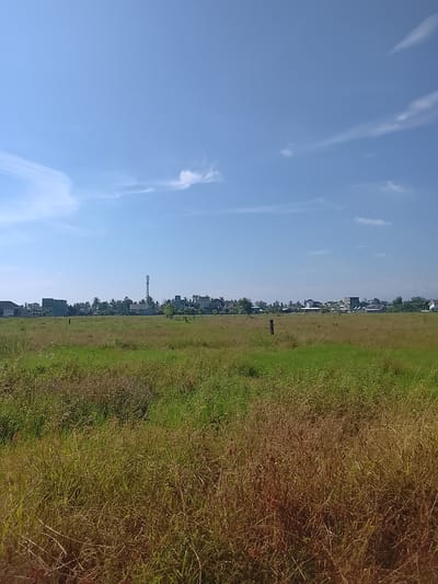 An outdoor, eye-level, vertical shot shows a clear blue sky with wispy white clouds over a rural landscape in Geuleudah, Indonesia. In the foreground, tall, dry grasses are in focus, with hints of green grass visible further back. A wooden stake is planted in the field. In the middle ground, a collection of buildings, including residential homes, and a cell tower, are visible. Trees dot the landscape behind the buildings. The overall impression is one of a sunny day in a sparsely populated area.