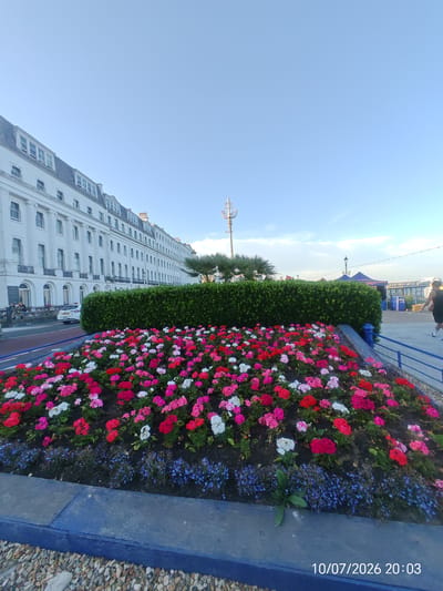 This is a photograph taken on the seafront of Eastbourne, United Kingdom, on July 10, 2026, at 8:03 PM. The image captures a vibrant flowerbed filled with a variety of pink, red, and white flowers in the foreground. Behind the flowers, a meticulously trimmed green hedge forms a backdrop. Beyond the hedge, a long, white building with multiple stories and numerous windows lines the street. A white car is parked on the street in front of the building. Further in the distance, a lamppost is visible, and beyond that, tents and a pier suggest a public area or event. The sky is clear blue with a few wispy clouds. A person is walking on a paved walkway to the right of the frame. The overall scene depicts a well-maintained public space on a pleasant evening.